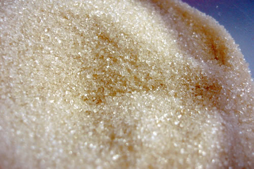 agar agar